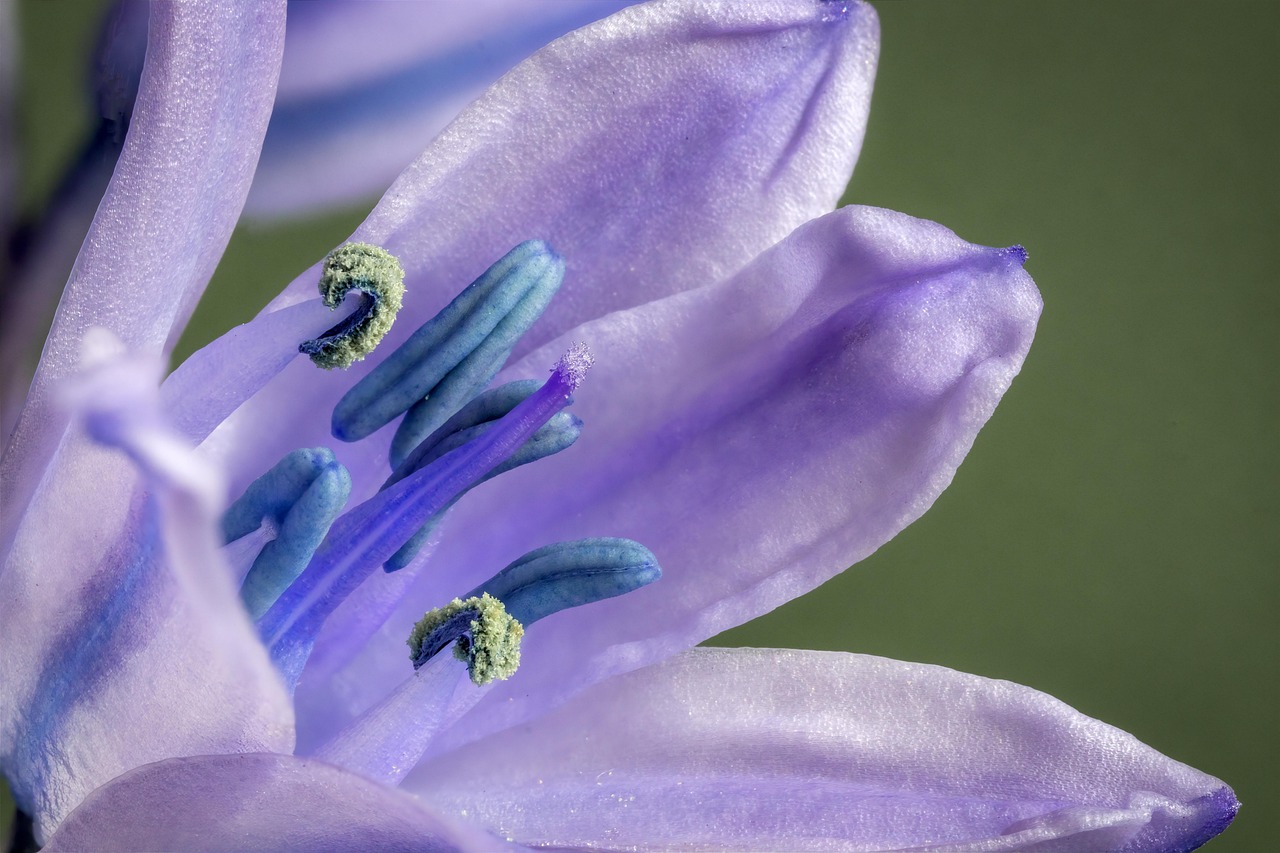 They Fit Real Life (No PTO Problems) (image credits: pixabay)