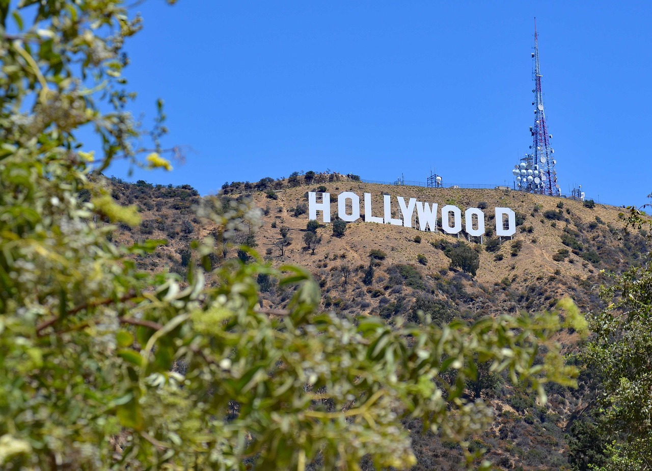 Los Angeles: Joy with a Catch (image credits: pixabay)