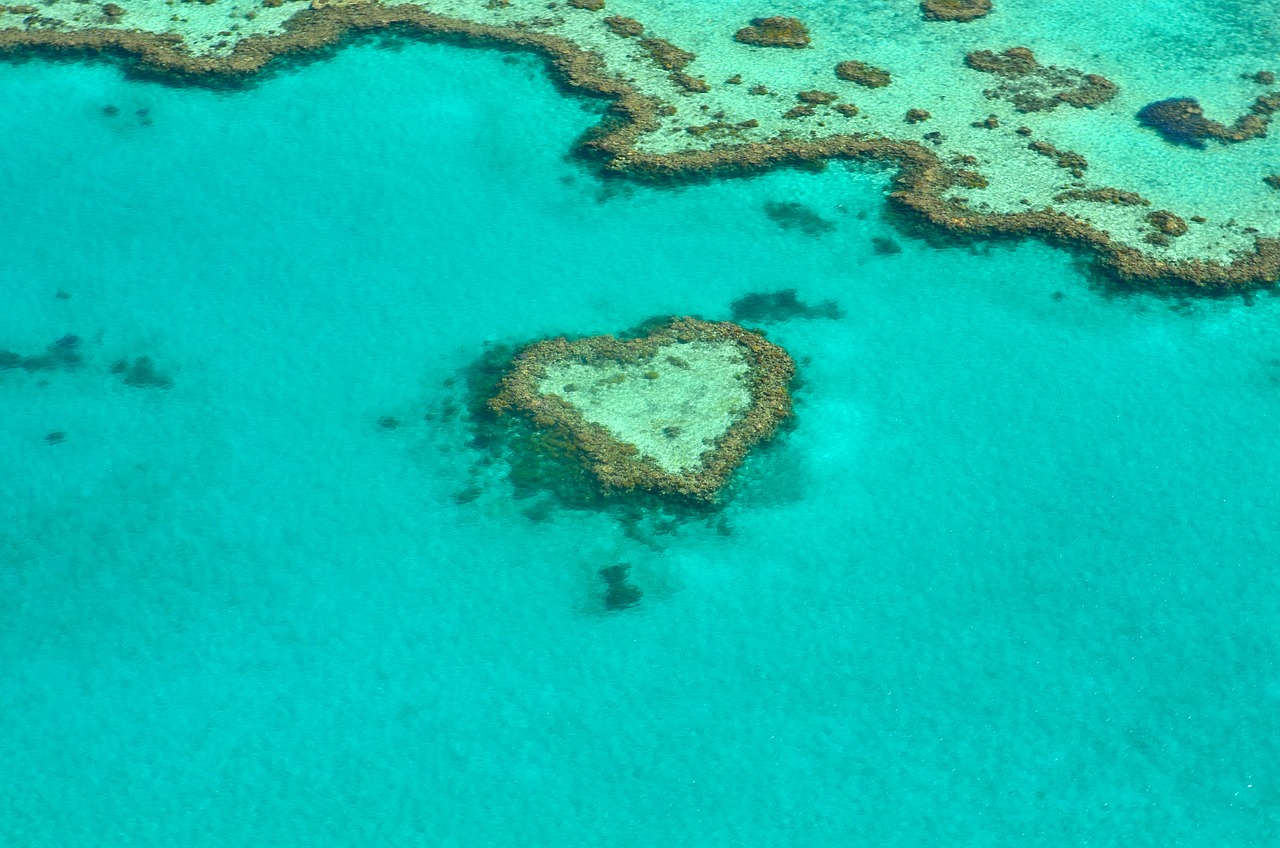 Case Studies of Last-Chance Tourism (image credits: pixabay)