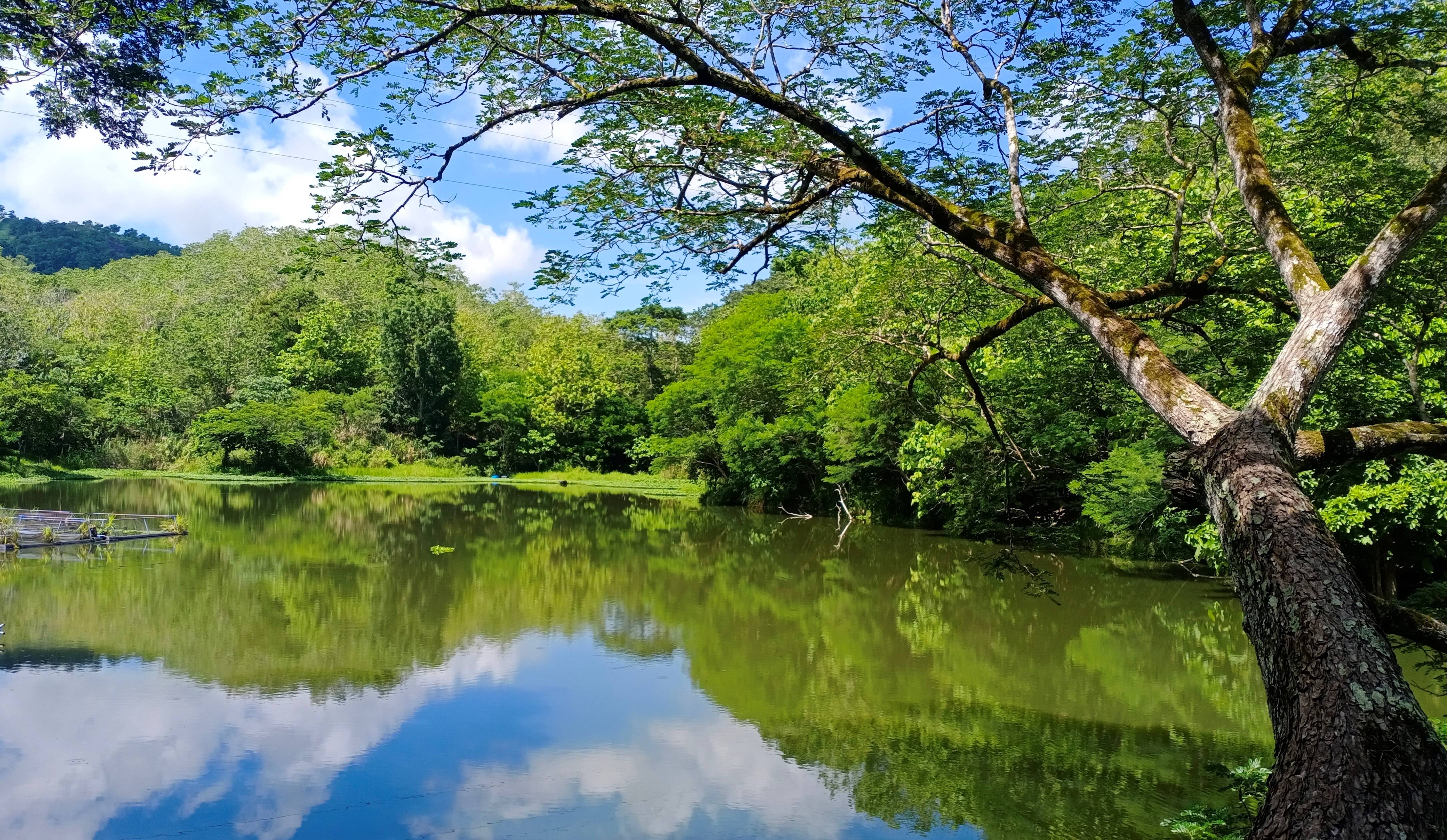 The Surge in Eco-Tourism (image credits: wikimedia)