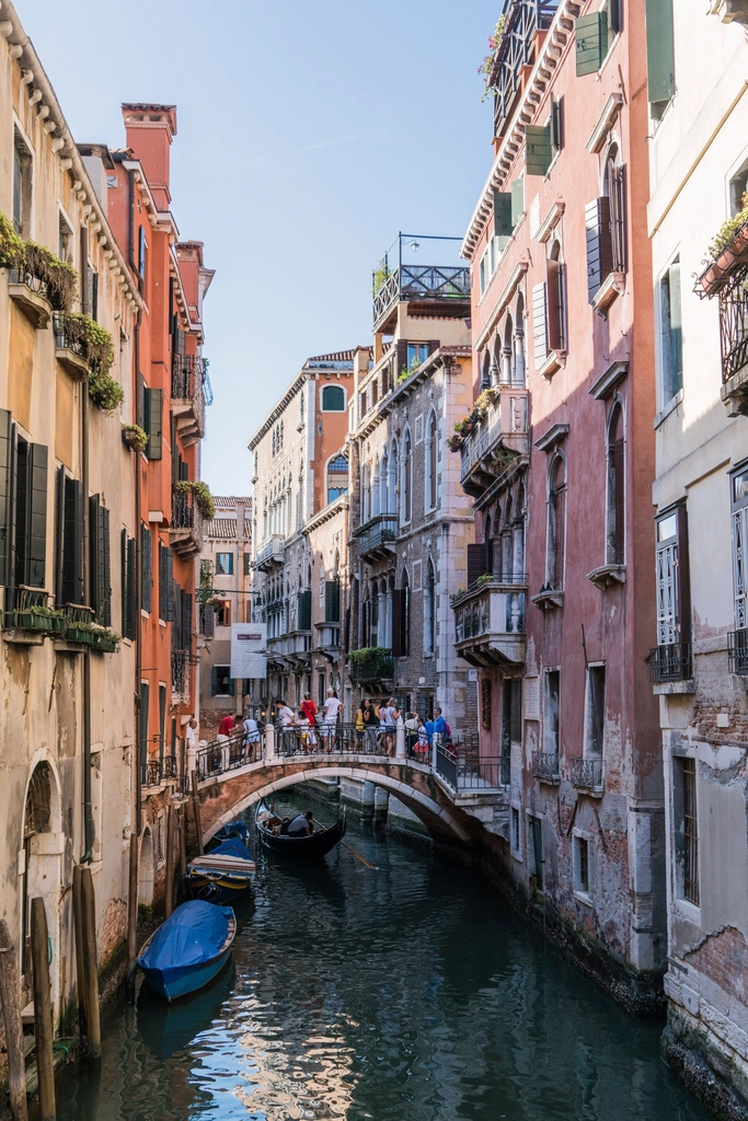 Picture Perfect or Packed to the Brim (image credits: rawpixel)