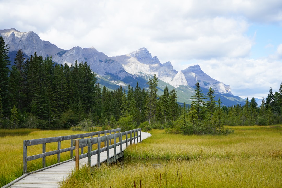 The Icefields Parkway, Canada (image credits: unsplash)