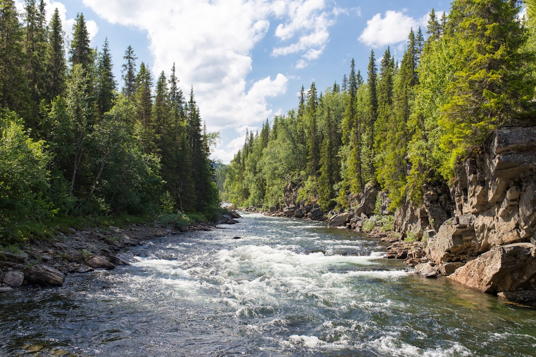 Sweden: Clean Water from Nature’s Own Filter (image credits: unsplash)