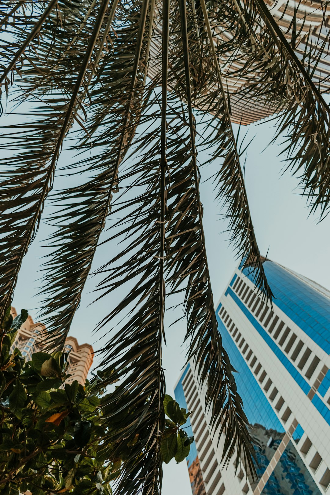 Singapore: The Land of Eternal Summer (image credits: unsplash)