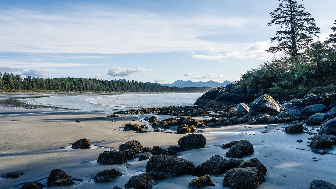 Tofino, British Columbia (image credits: pixabay)