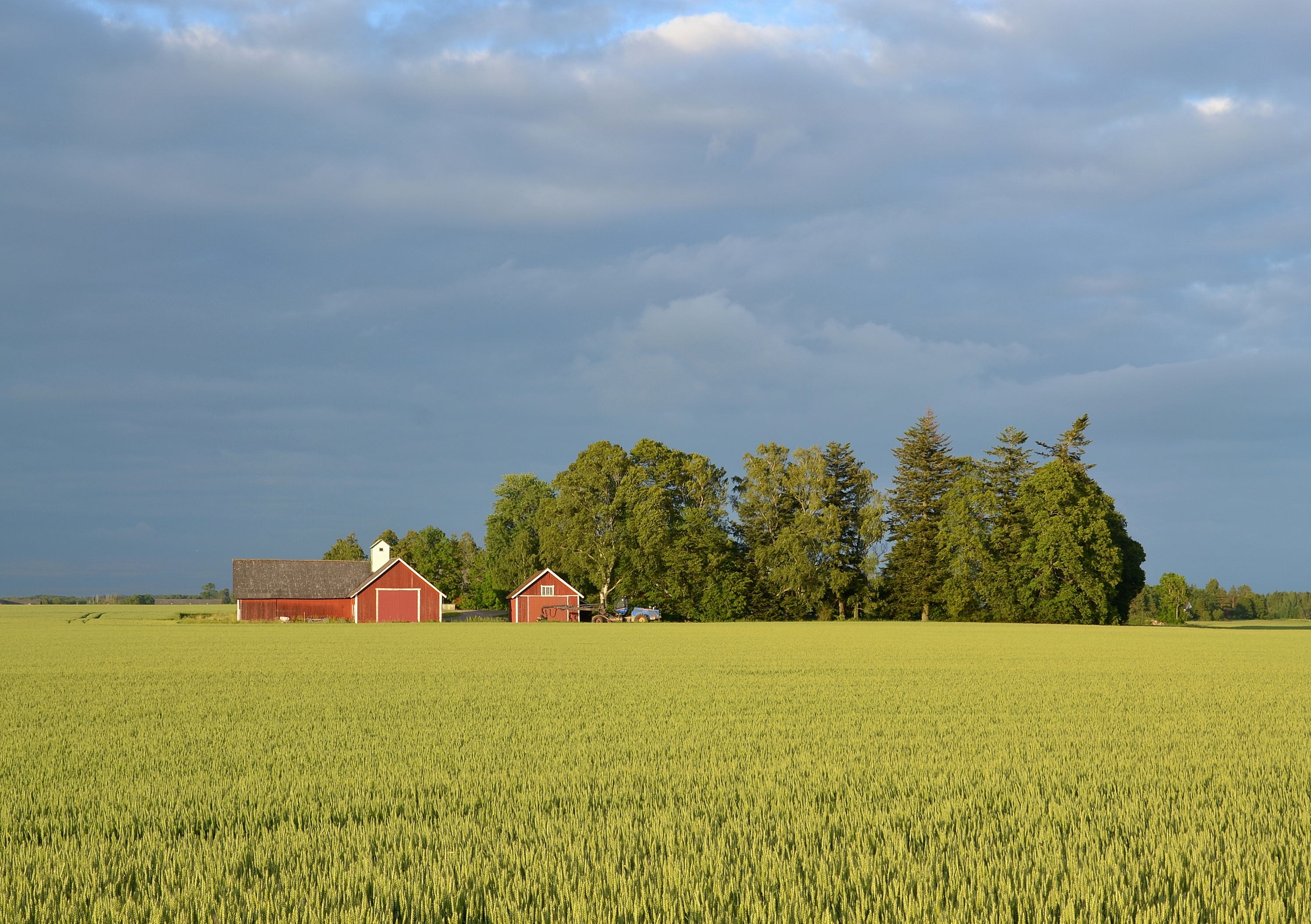 Sweden Where Clean Meets Wild (image credits: wikimedia)