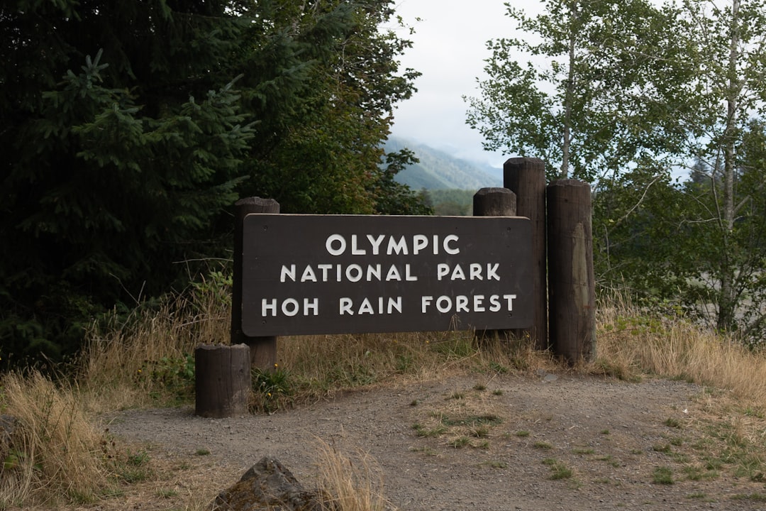 The Hoh Rain Forest: America’s Quiet Refuge (image credits: unsplash)