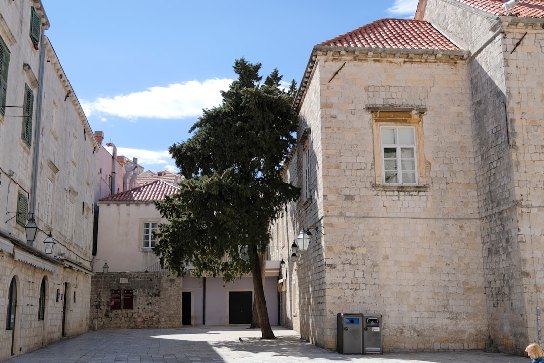 Dubrovnik, Croatia (image credits: unsplash)