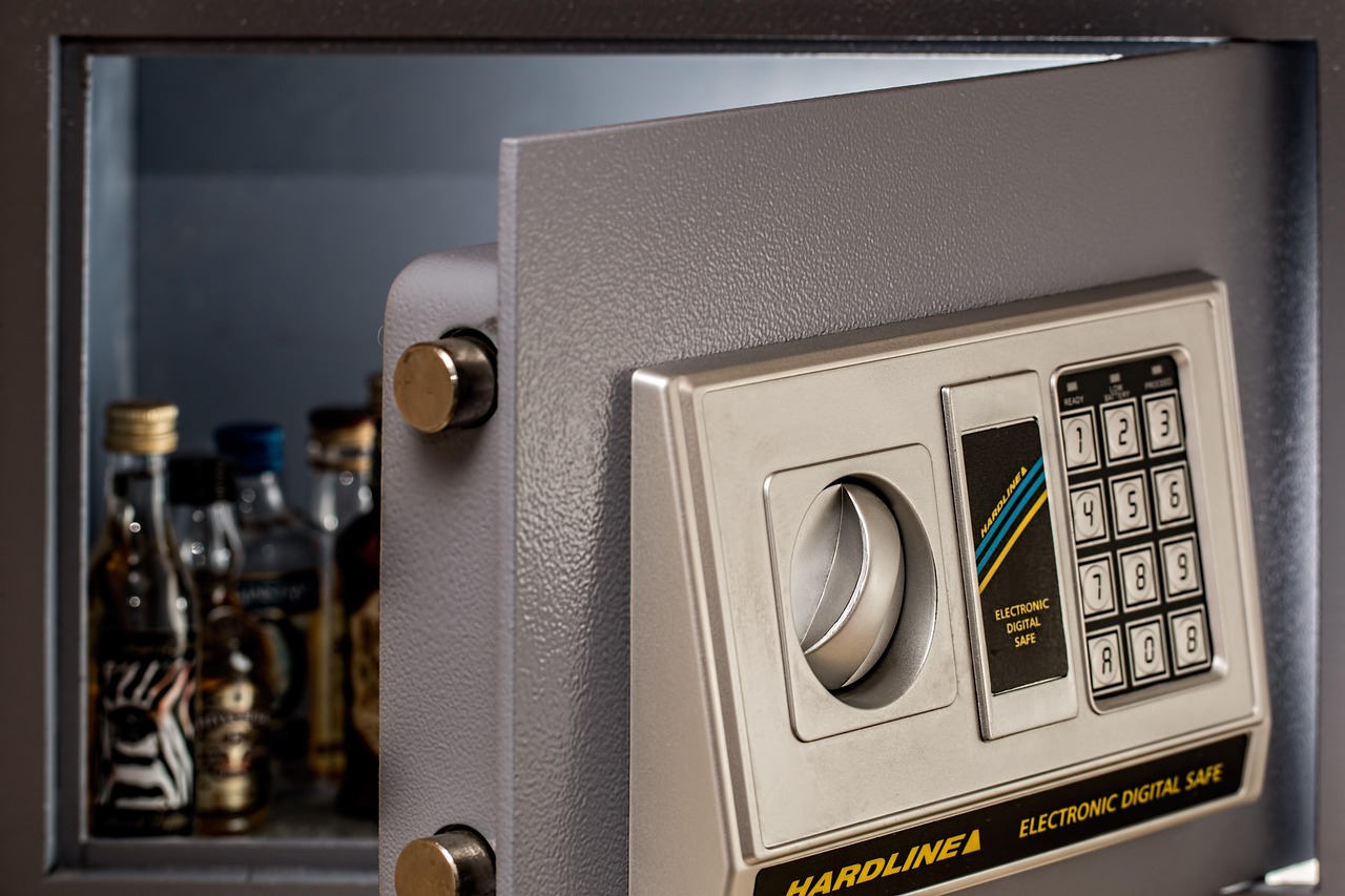 Use the Hotel Safe (image credits: pixabay)