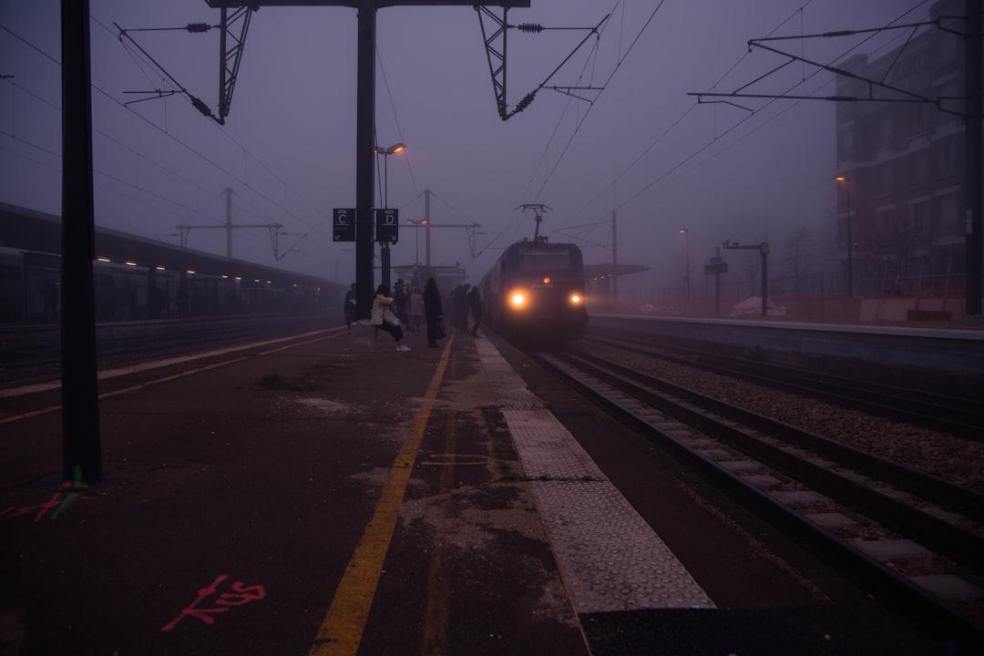 Case Studies: Successful Night Train Services (image credits: unsplash)