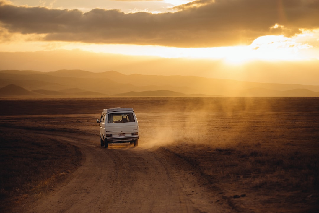Born to Run by Bruce Springsteen (image credits: unsplash)