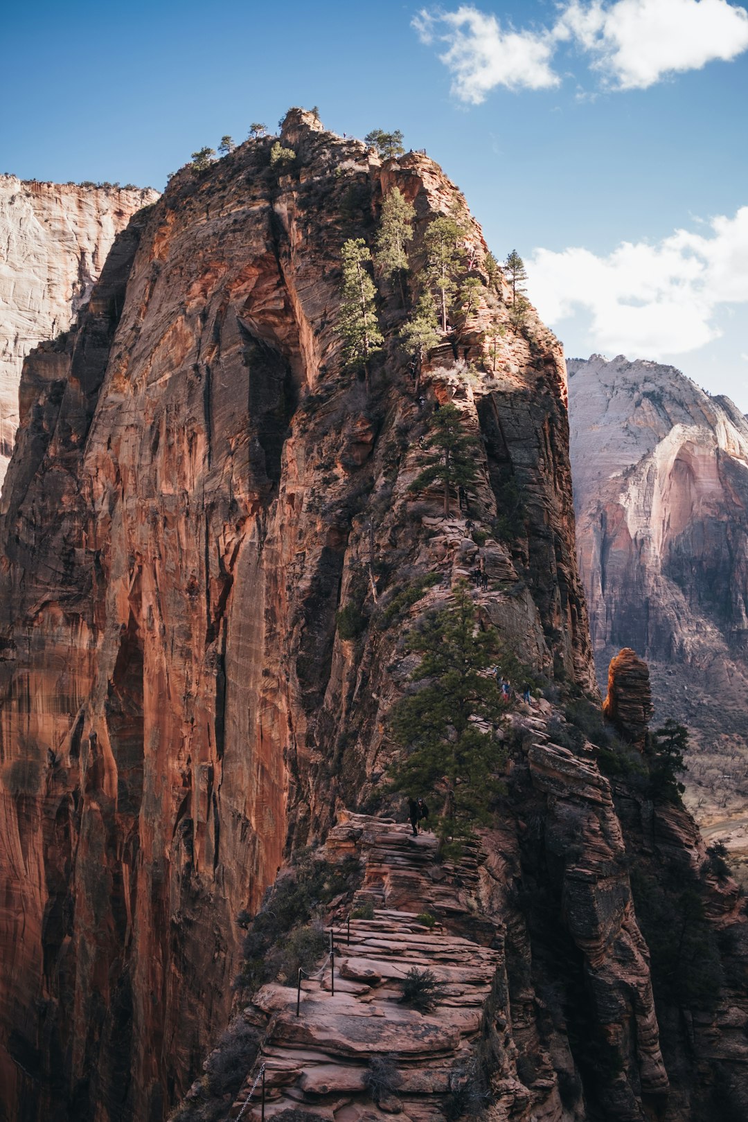 Local Voices: Between Pride and Concern (image credits: unsplash)