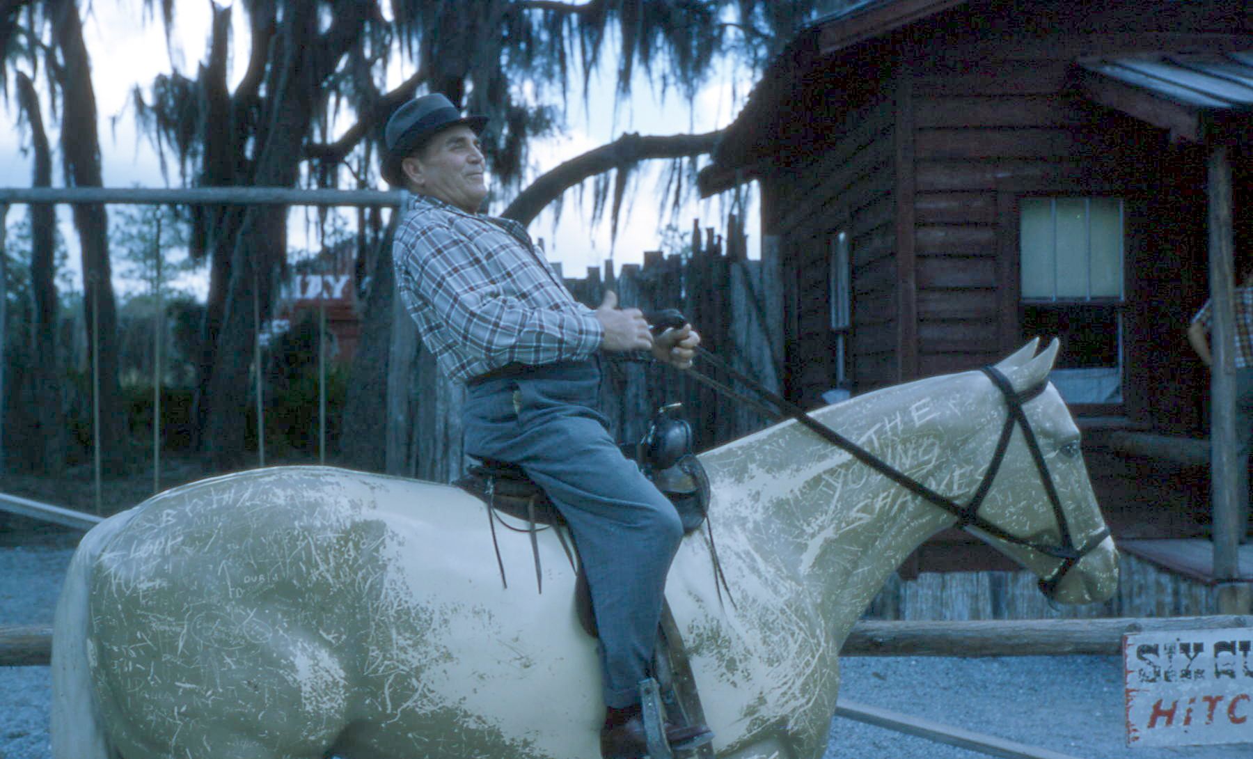 Ocala Attracts More Than Horse Enthusiasts (image credits: wikimedia)