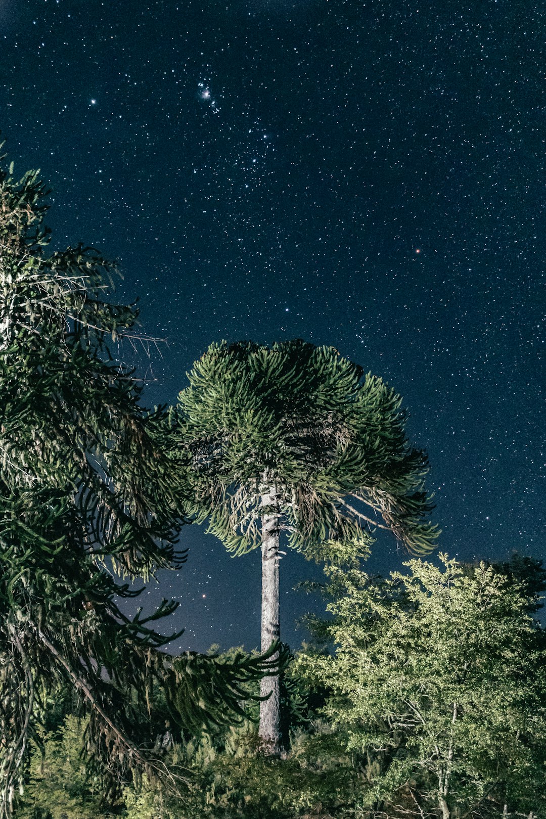 Torres del Paine National Park, Chile (image credits: unsplash)