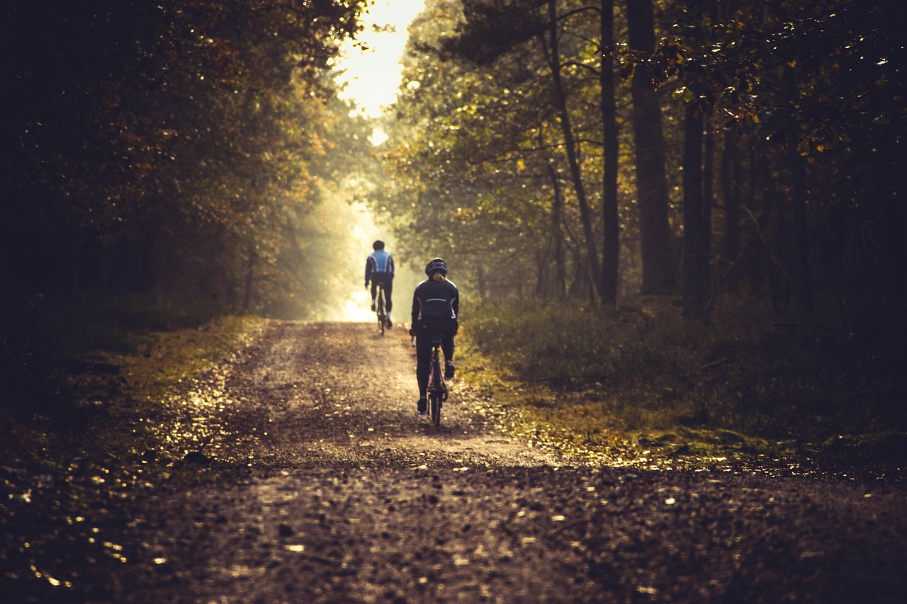 Denmark: Where Cycling Rules and Carbon Doesn't (image credits: pixabay)