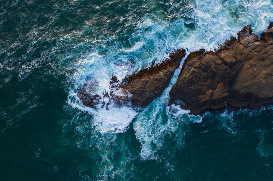 Climate Change: Escalating Natural Threats (image credits: unsplash)