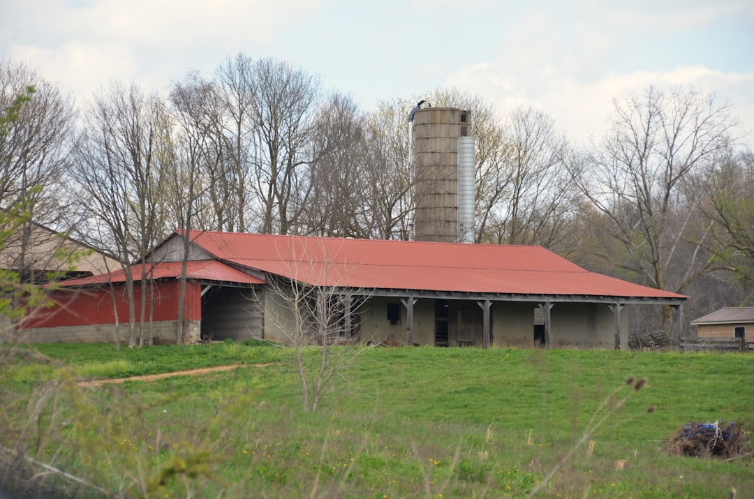 19. Schuyler County - 70.7 Years (image credits: unsplash)
