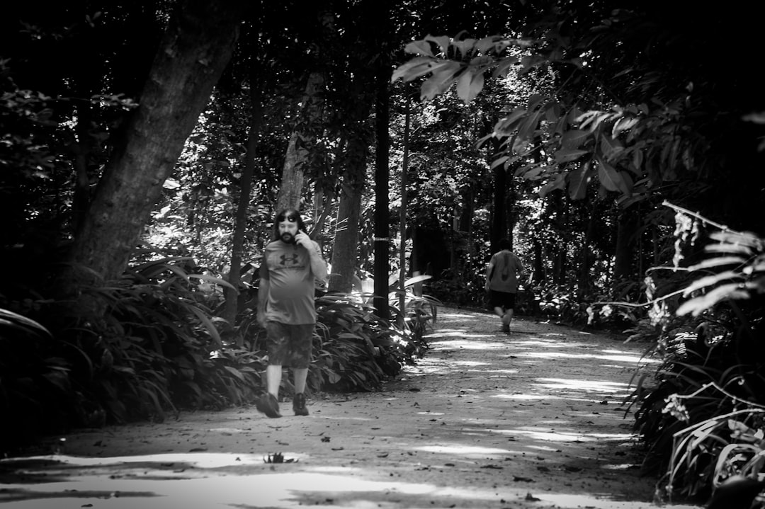 19. Walking and Hiking - Steps to Sharper Thinking (image credits: unsplash)