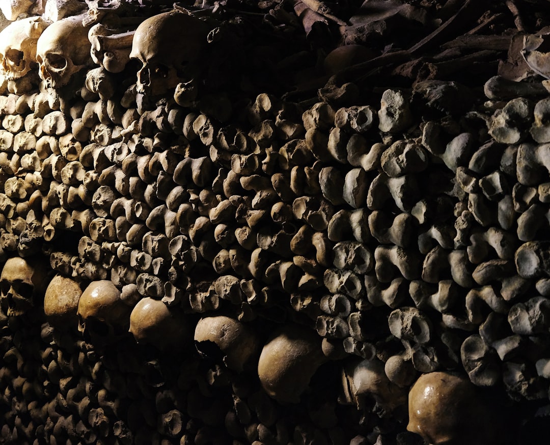 The Catacombs of Paris (image credits: unsplash)