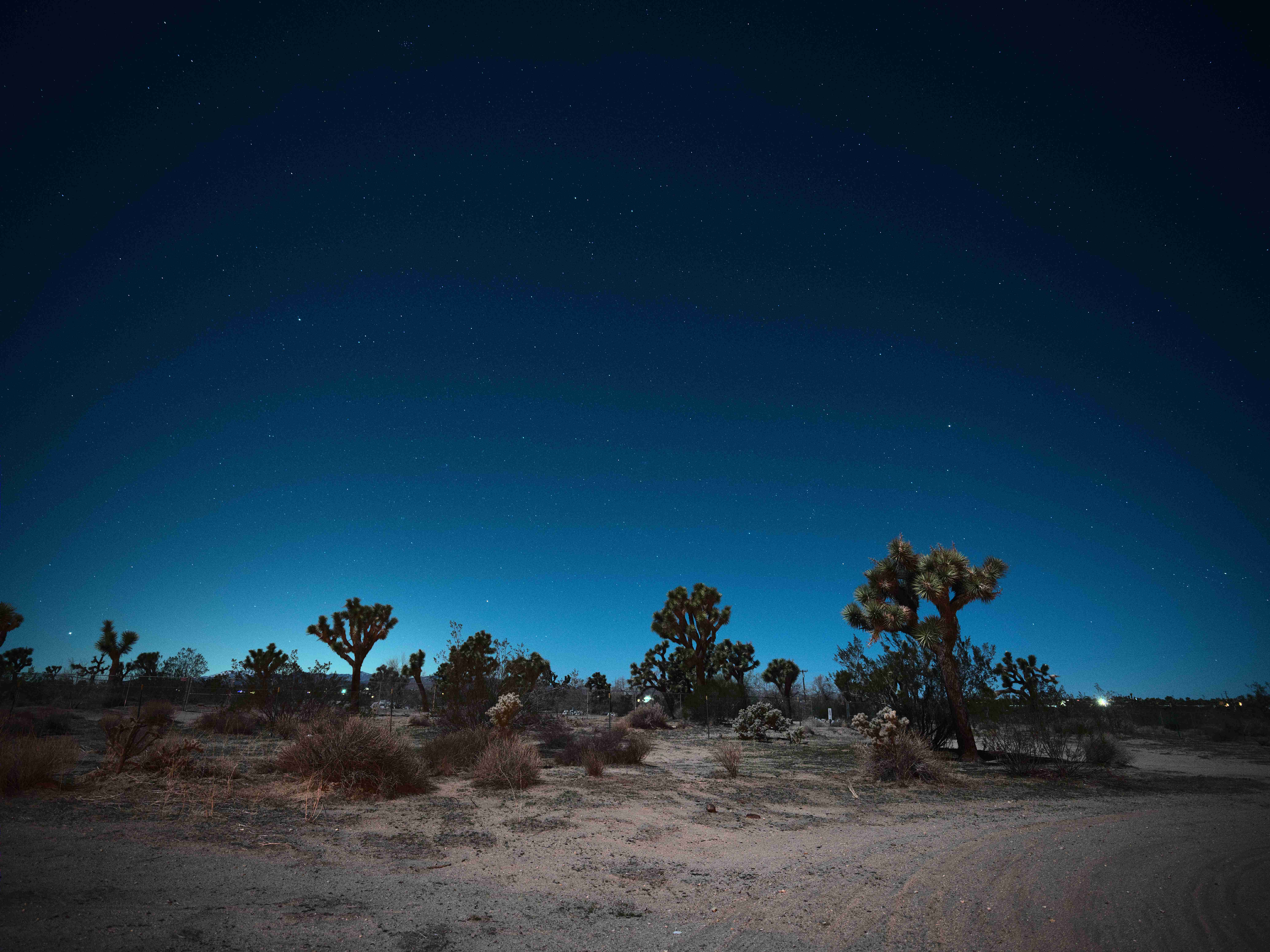Joshua Tree, California: Stargazing and Desert Design (image credits: wikimedia)
