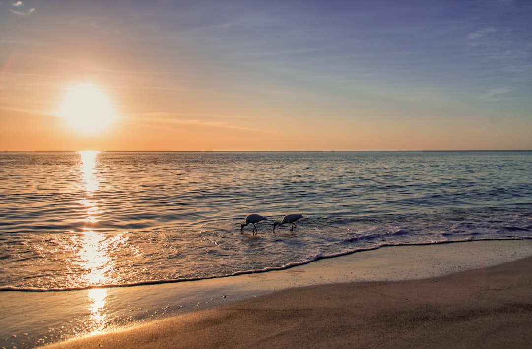 Sarasota, Florida: Sand, Sun, and Satisfaction (image credits: unsplash)