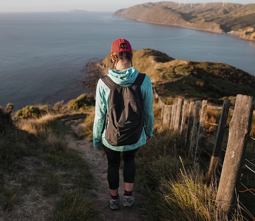 Wellington, New Zealand: Nature and Neighborliness in Harmony (image credits: unsplash)