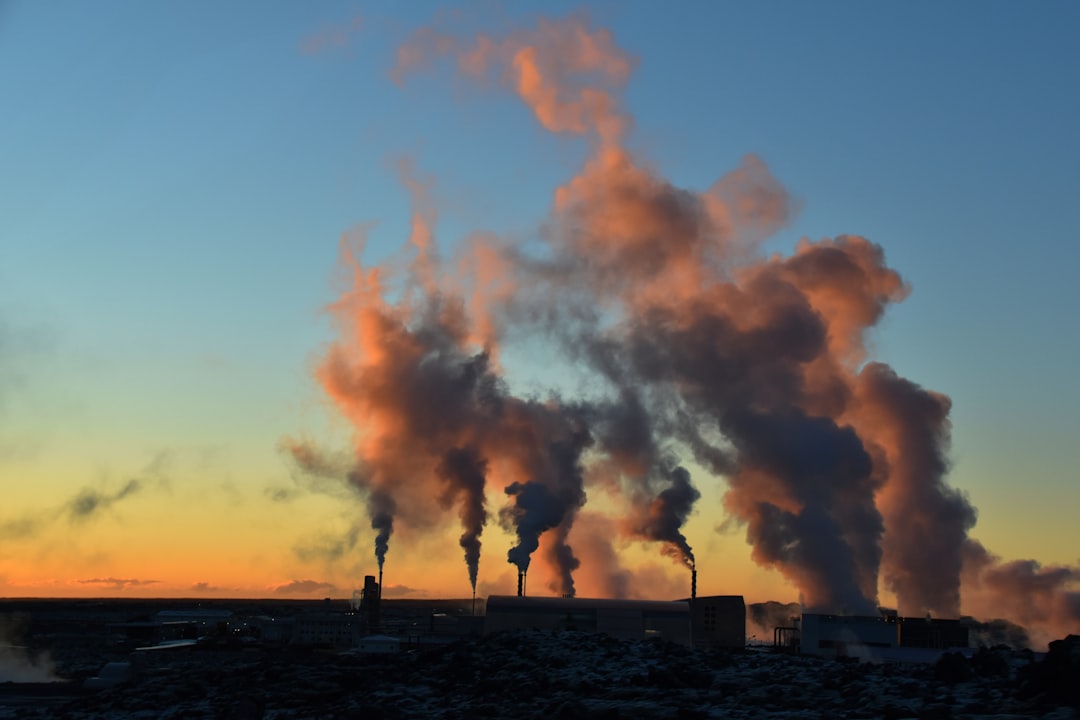 Sustainable Living and Environmental Awareness (image credits: unsplash)
