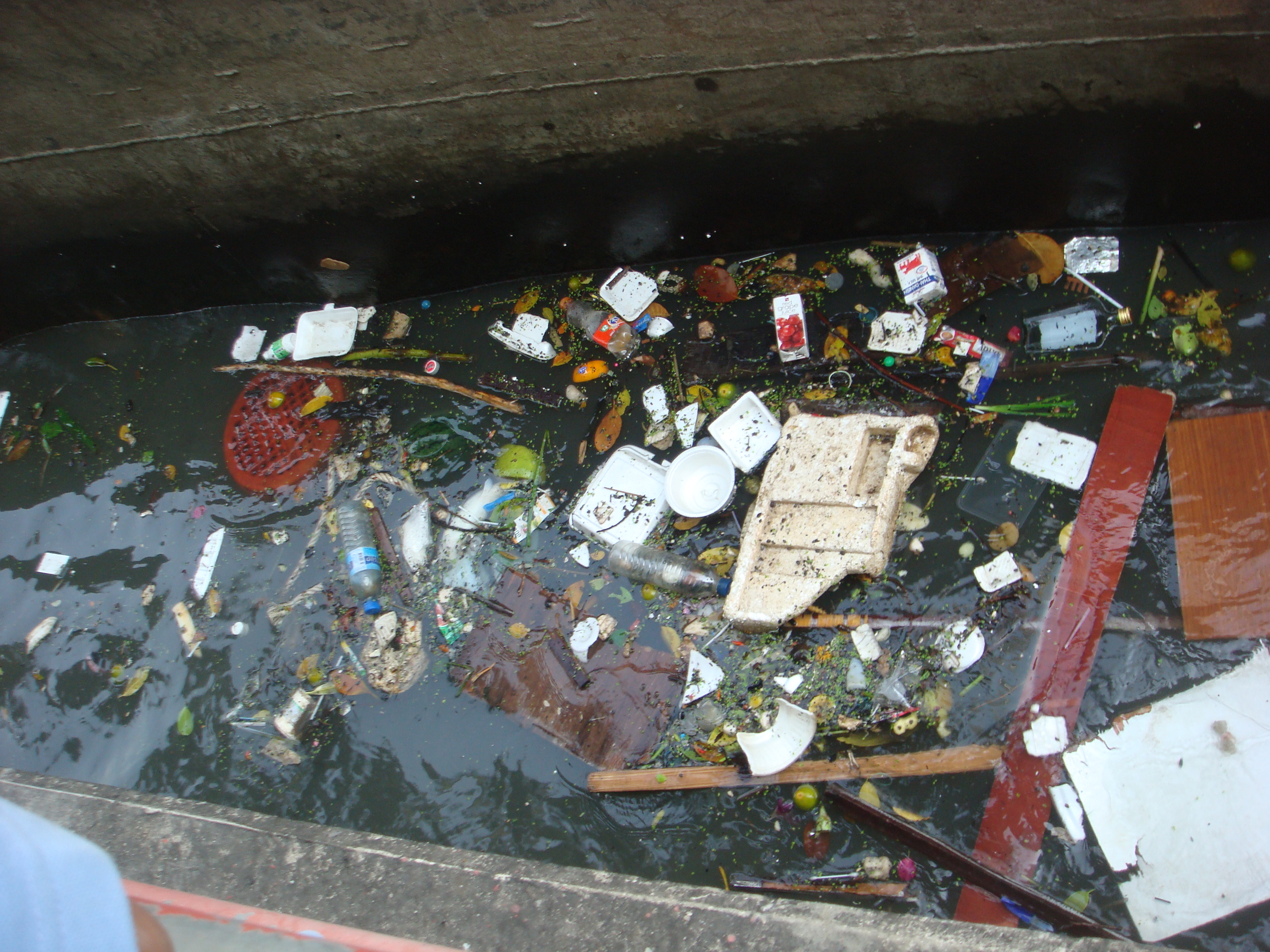 9. Nestlé: Facing Backlash Over Plastic Pollution (image credits: wikimedia)