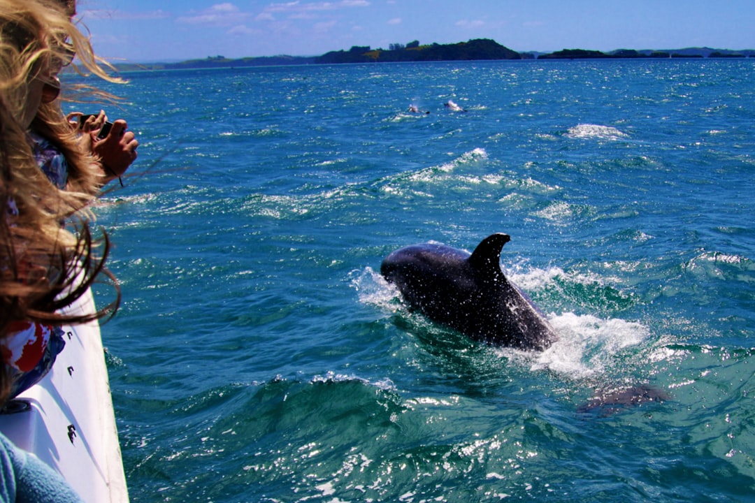 New Zealand: Nature’s Playground for the Patient Explorer (image credits: unsplash)