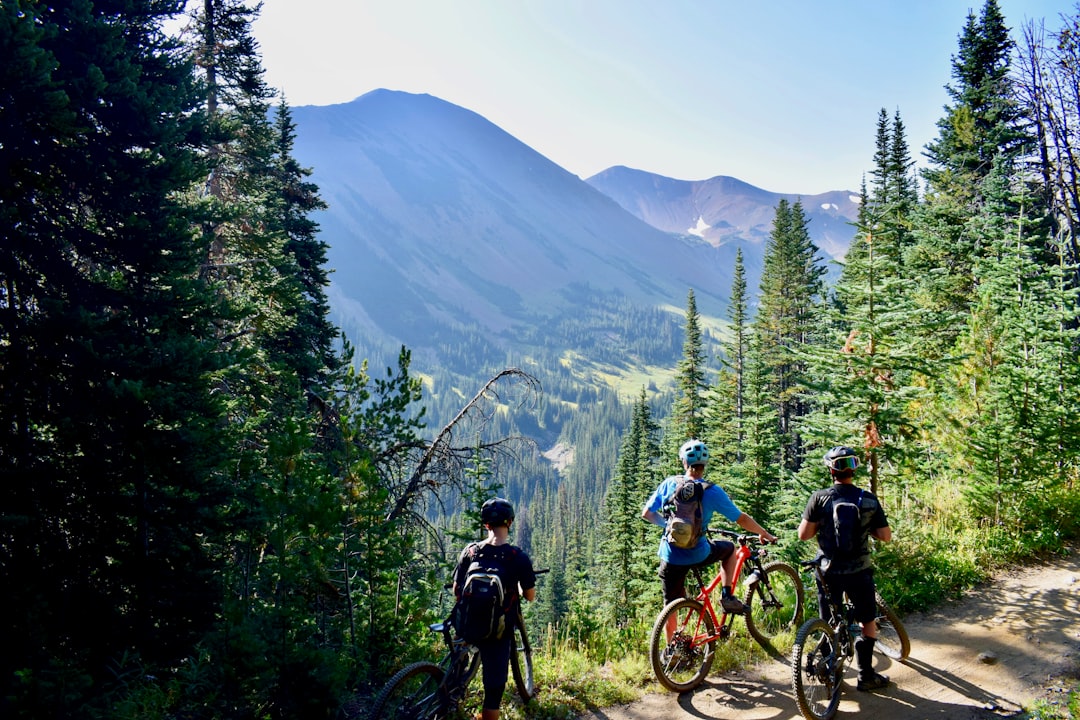 The Great Allegheny Passage, USA (image credits: unsplash)