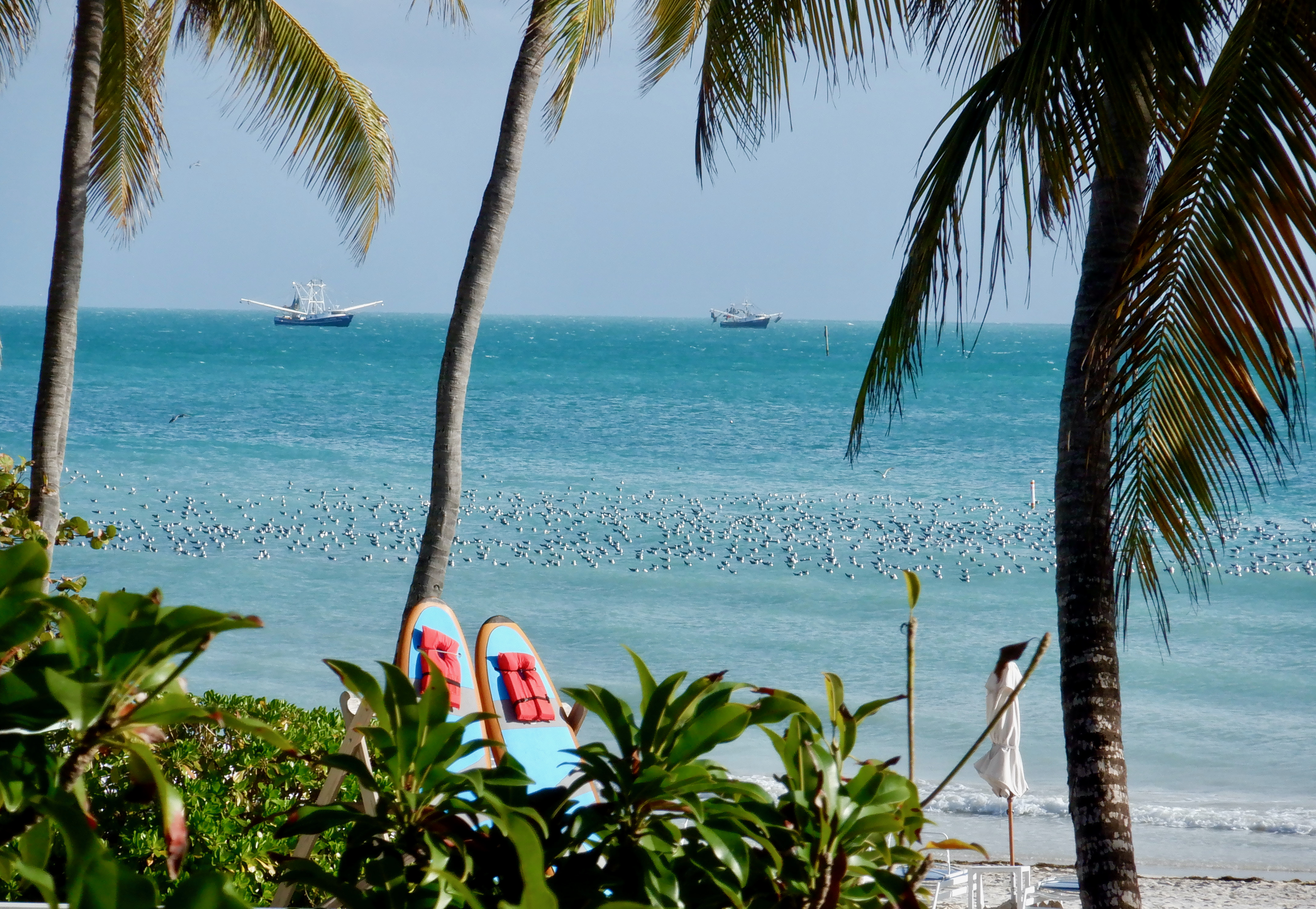 Key West (image credits: wikimedia)