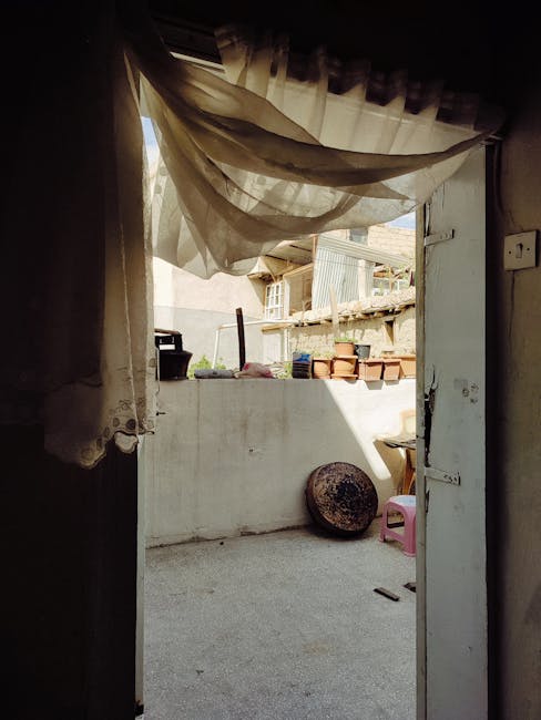 51. The Stubborn Taurus Who Hoards Everything on Their Balcony (image credits: pexels)