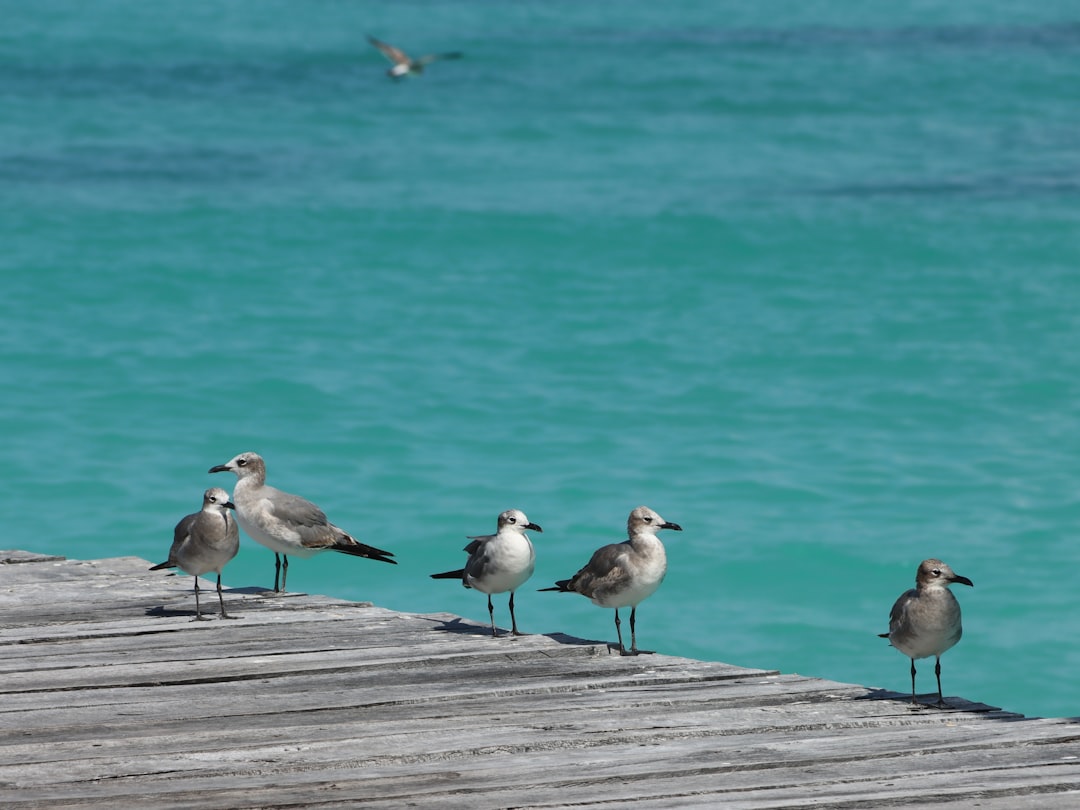 Tourist Hotspots Under Scrutiny (image credits: unsplash)
