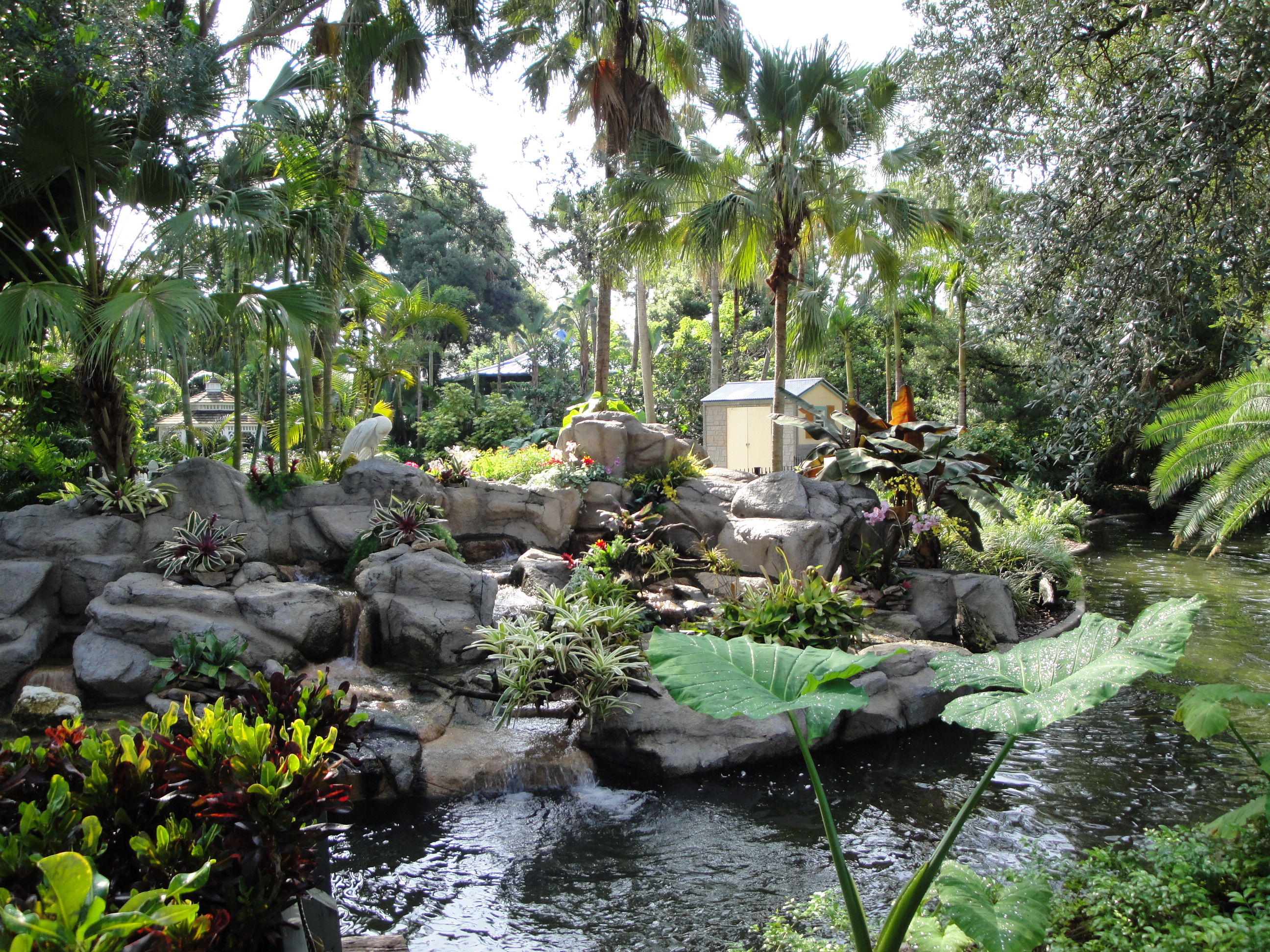 Busch Gardens Tampa Bay (image credits: wikimedia)