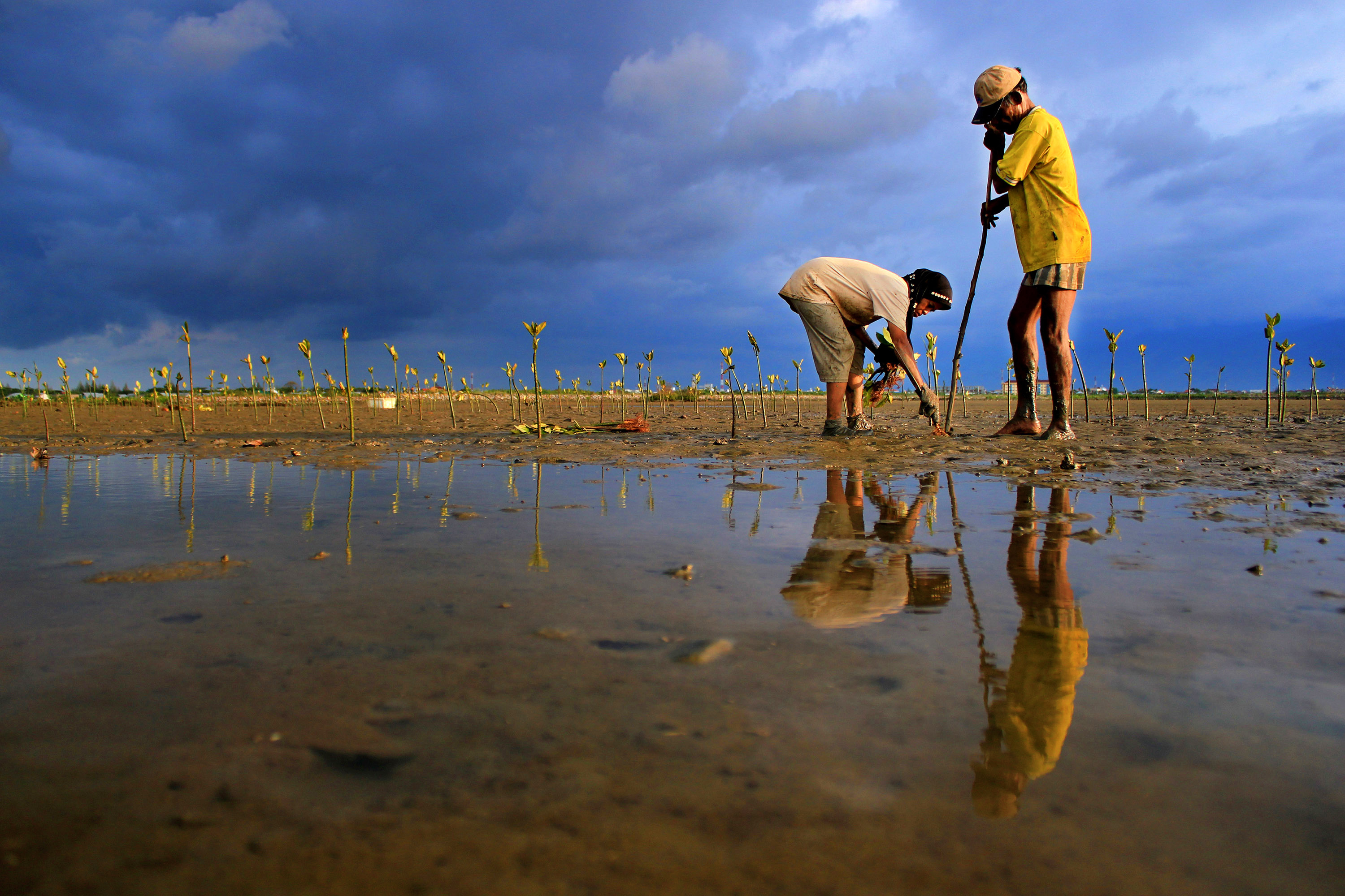 Engaging with the Local Community (image credits: wikimedia)