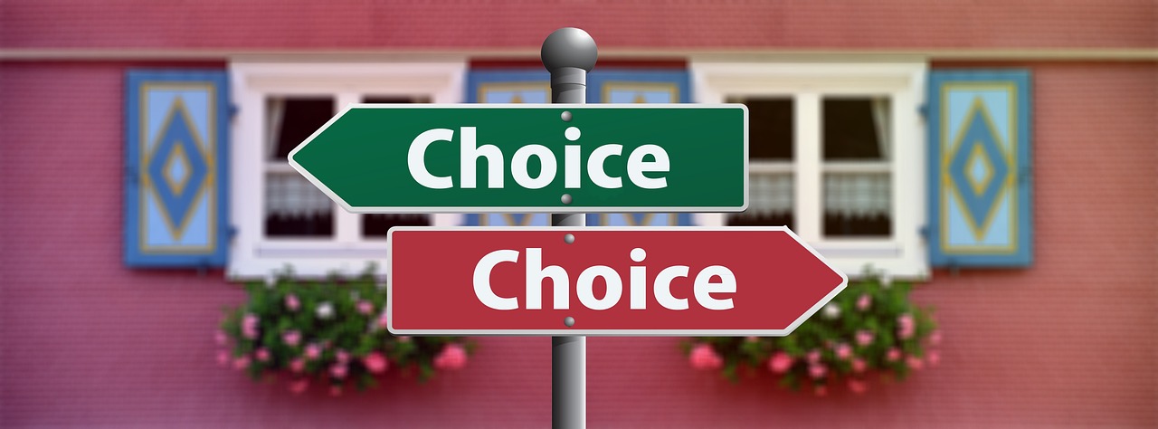 Conclusion: Making the Right Choice (image credits: pixabay)