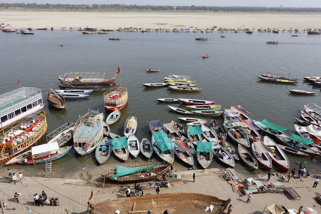 The Push and Pull of Modernization (image credits: unsplash)