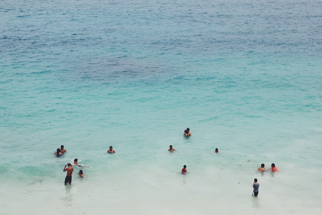Conclusion: A Changing Landscape (image credits: unsplash)