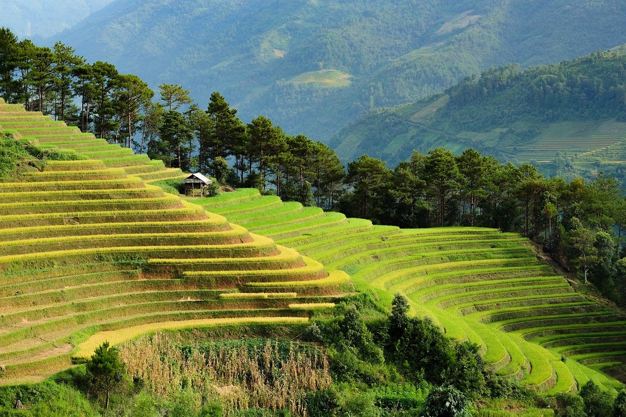 3. Vietnam (image credits: pixabay)