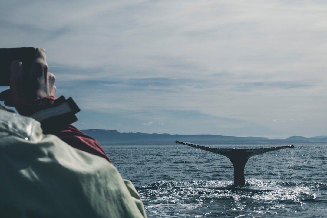 New Zealand: Adventure and Nature Reimagined (image credits: unsplash)
