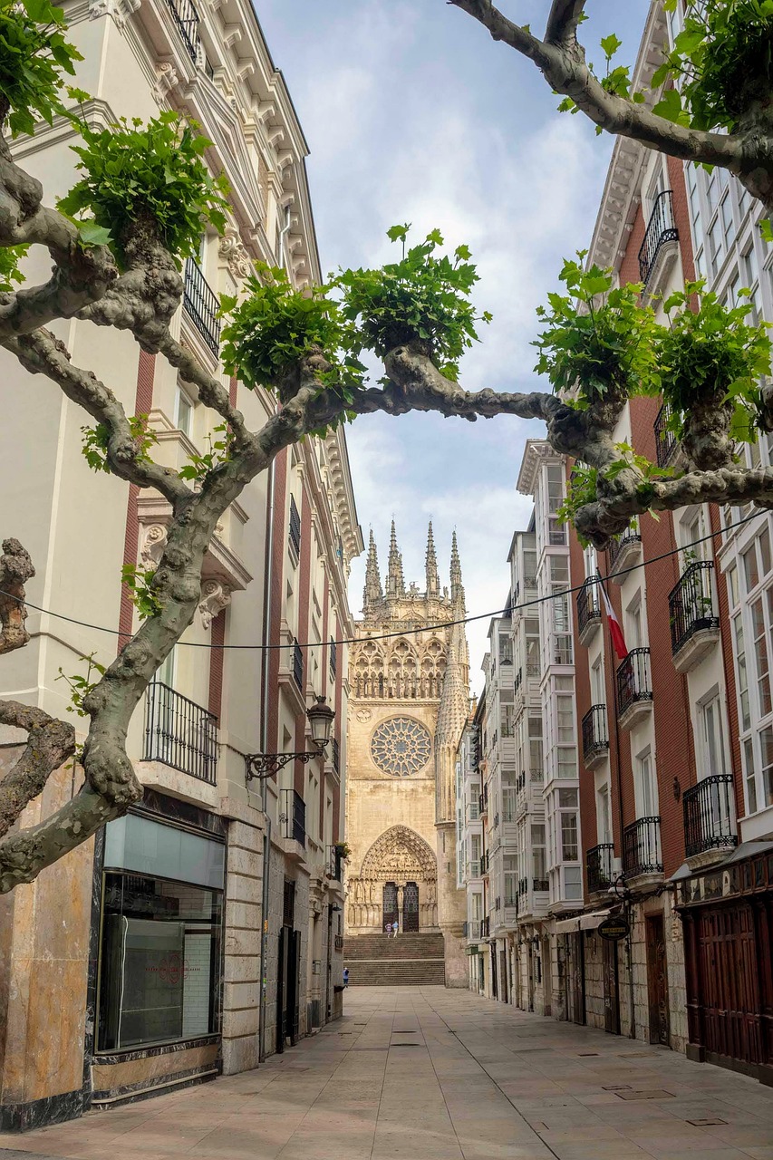 Case Studies: Successful Sustainable Tourism Models (image credits: pixabay)