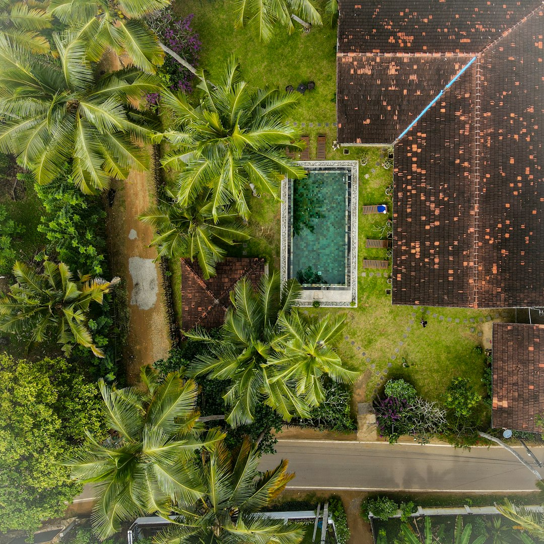 Sri Lanka (image credits: unsplash)