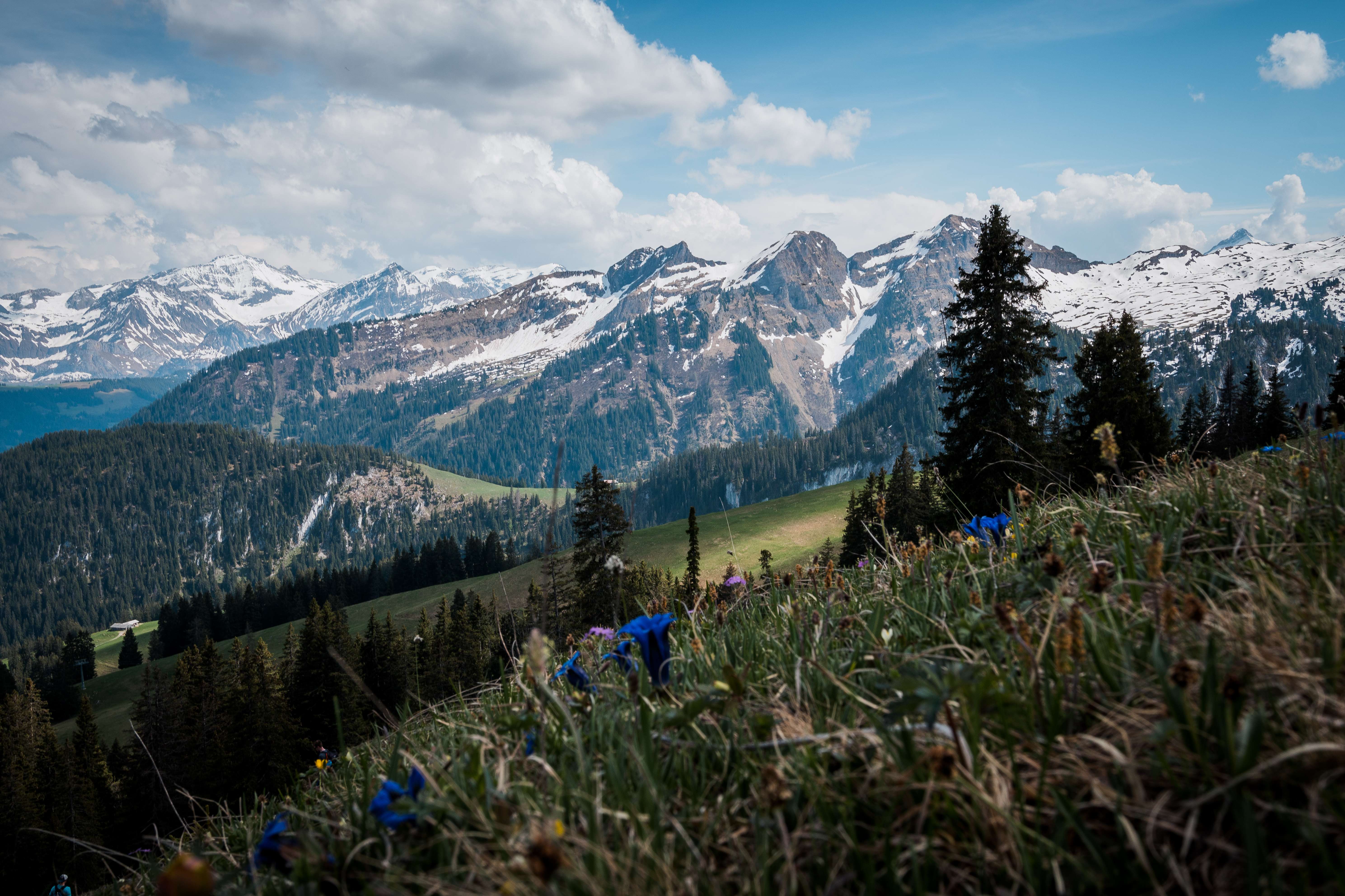 Switzerland Alpine Spring Magic (image credits: wikimedia)