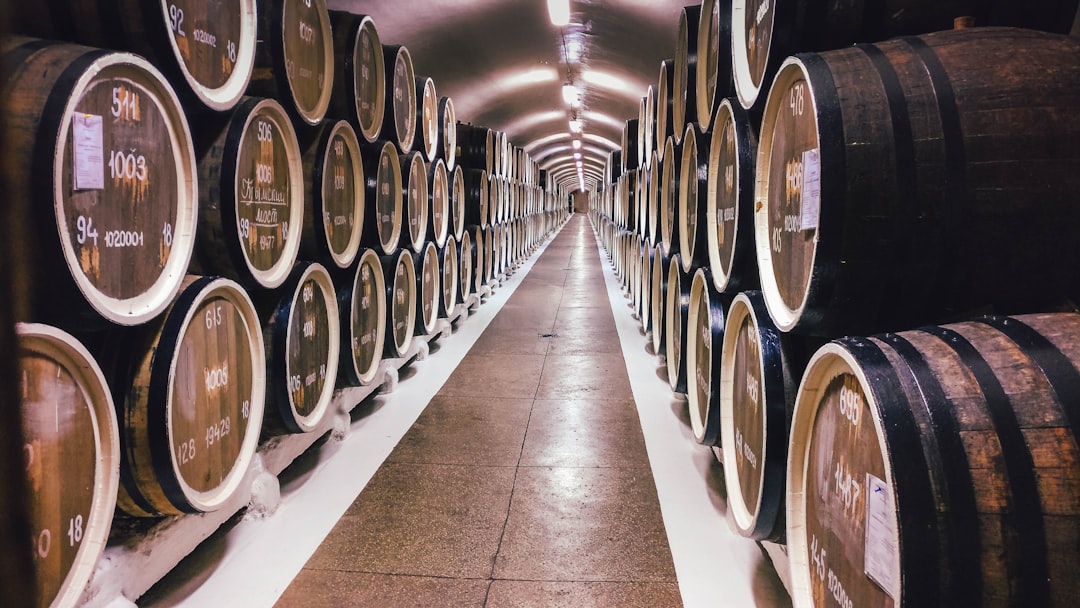Modern Developments in Georgian Winemaking (image credits: unsplash)