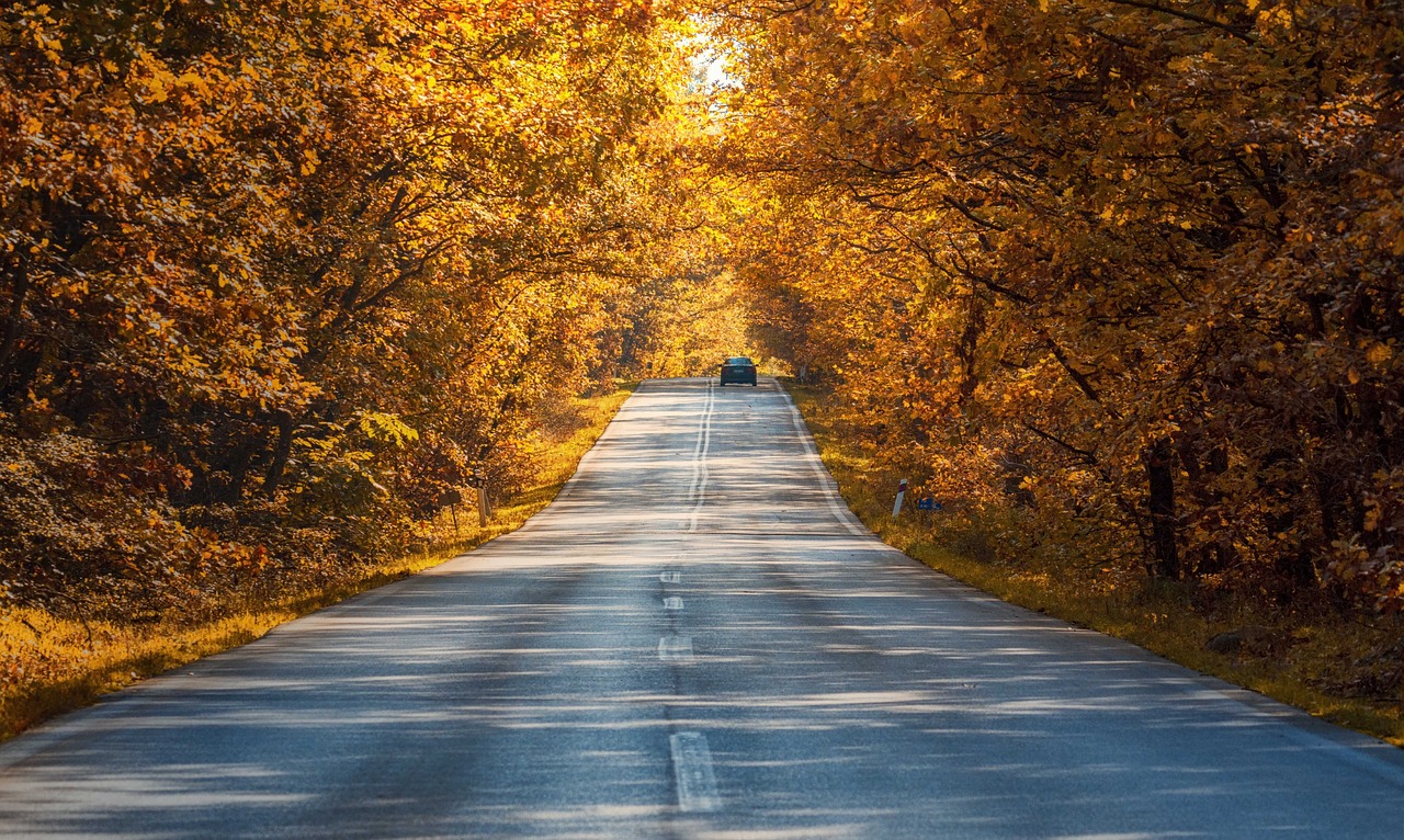 7. Early October: Autumn in East Asia and North America (image credits: pixabay)