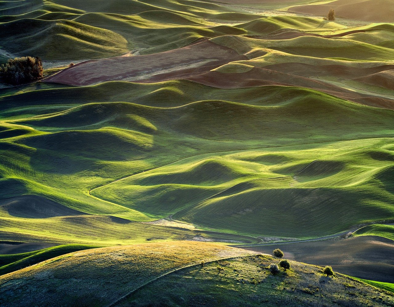 10. The Pacific Northwest (image credits: pixabay)