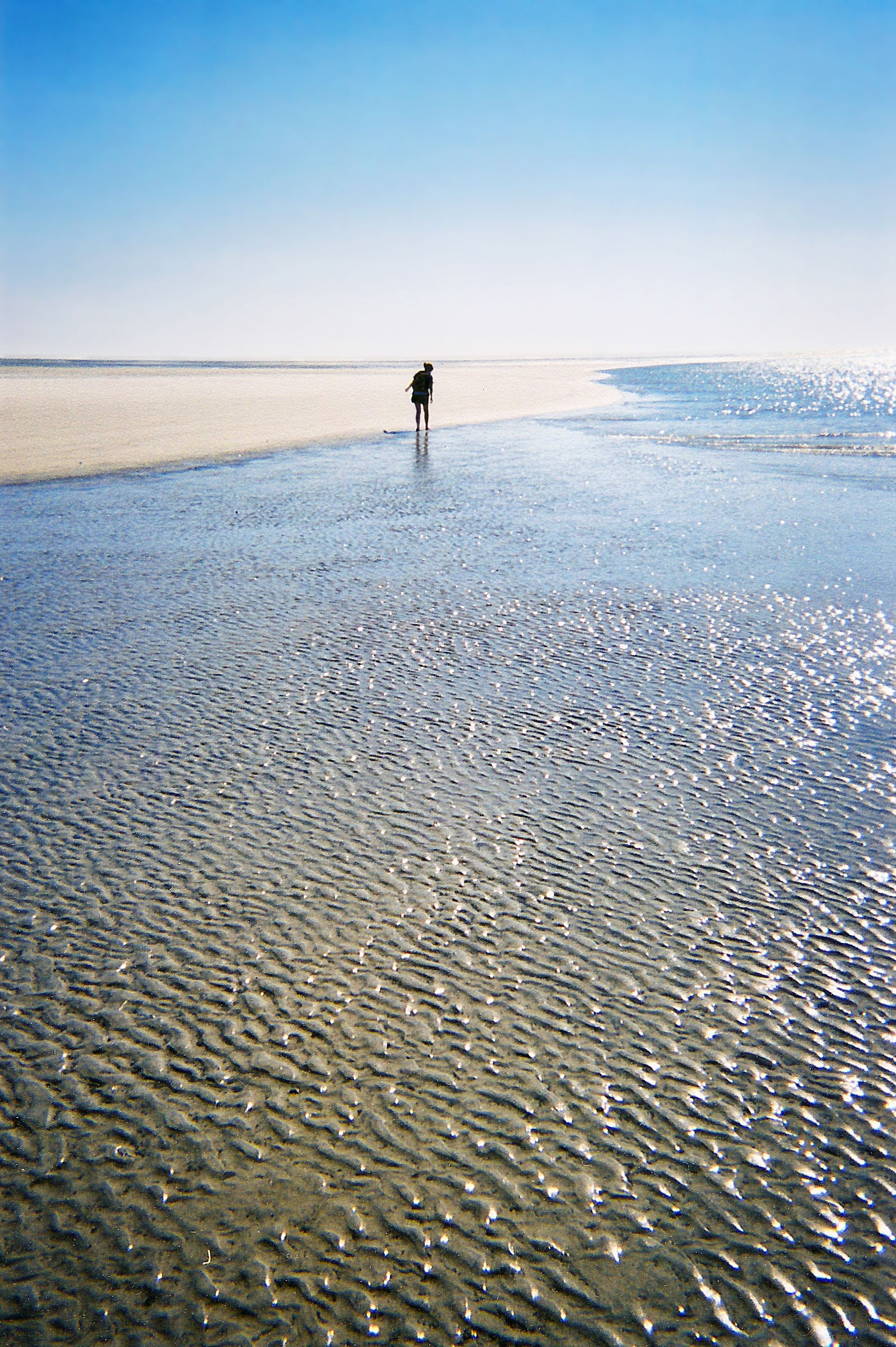 A Surreal Arrival: Stepping Onto Sapelo Island (image credits: wikimedia)