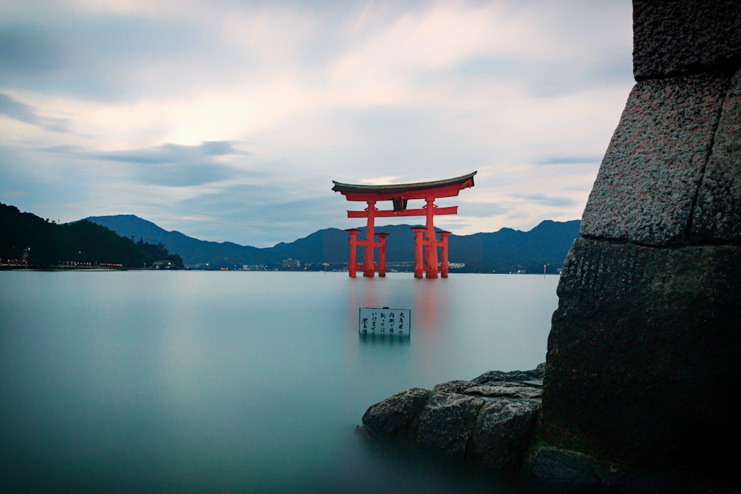 Conclusion: Would You Travel to Meet Your Ancestors? (image credits: unsplash)