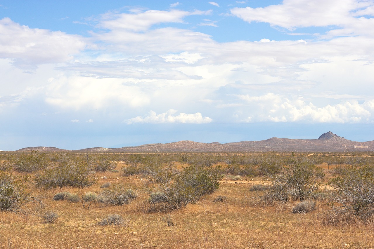 9. Mojave National Preserve, California (image credits: pixabay)