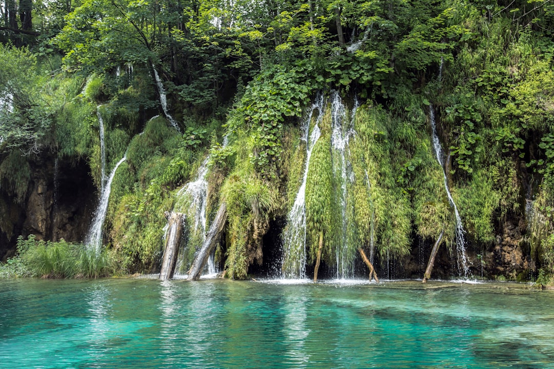 Plitvice Lakes, Croatia (image credits: unsplash)